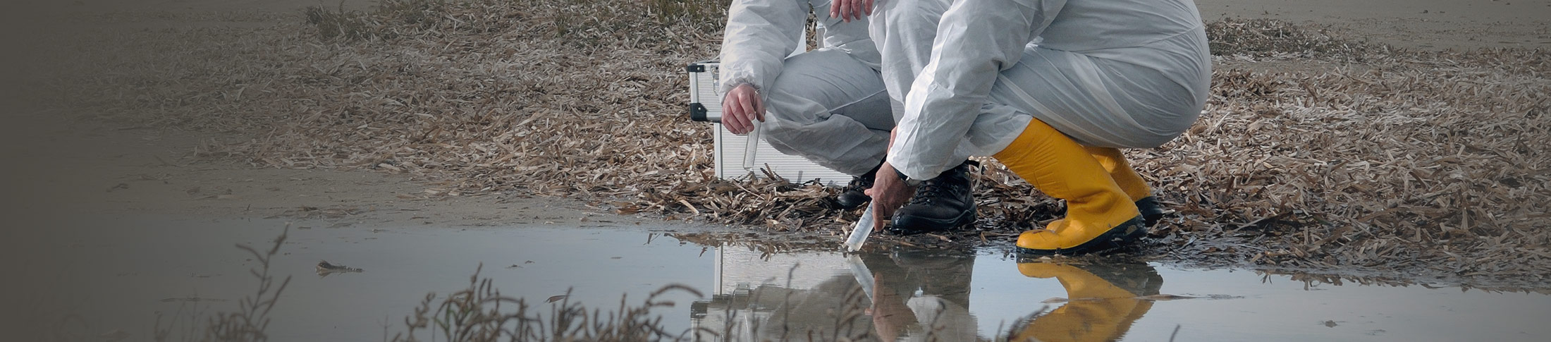 MX_intertek_homepage_Sust